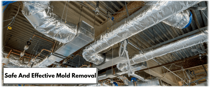 Air Duct Mold Removal in Lakewood CA