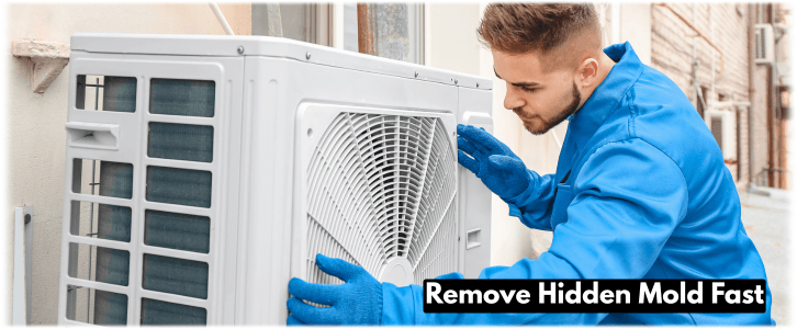 HVAC Mold Removal Lakewood CA
